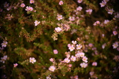 Enlarge photo 40