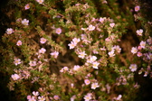 Enlarge photo 41