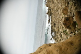 Enlarge photo 43