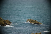 Enlarge photo 65