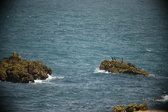 Enlarge photo 67