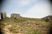 Enlarge photo 78