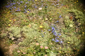 Enlarge photo 87