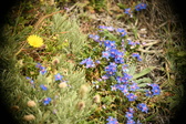 Enlarge photo 88