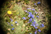 Enlarge photo 89