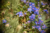 Enlarge photo 90