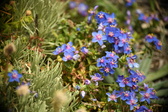 Enlarge photo 91