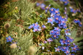 Enlarge photo 92