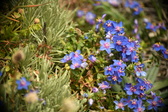 Enlarge photo 93