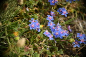 Enlarge photo 94