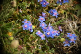 Enlarge photo 95