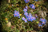 Enlarge photo 96
