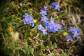 Enlarge photo 97