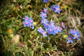 Enlarge photo 98
