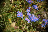 Enlarge photo 99