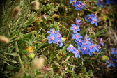 Enlarge photo 100