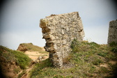 Enlarge photo 103