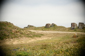 Enlarge photo 105