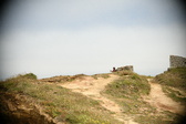 Enlarge photo 106