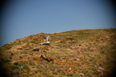 Enlarge photo 591