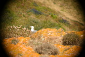 Enlarge photo 599