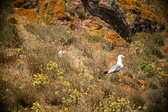 Enlarge photo 603