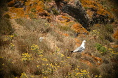 Enlarge photo 604
