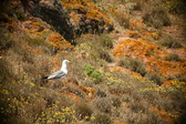 Enlarge photo 606