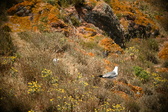 Enlarge photo 607