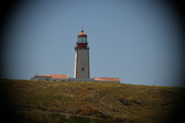 Enlarge photo 608