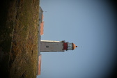 Enlarge photo 610