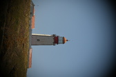 Enlarge photo 611