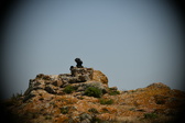 Enlarge photo 620