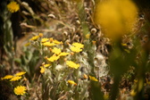Enlarge photo 624