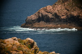 Enlarge photo 626
