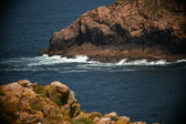 Enlarge photo 627