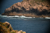 Enlarge photo 629