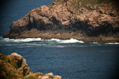 Enlarge photo 630