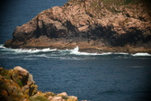 Enlarge photo 632