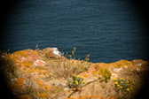 Enlarge photo 638