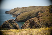 Enlarge photo 650