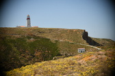 Enlarge photo 654