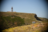 Enlarge photo 655