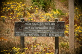 Enlarge photo 663