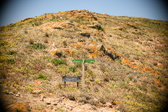 Enlarge photo 667