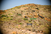 Enlarge photo 668