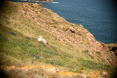 Enlarge photo 669