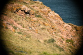 Enlarge photo 670