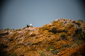 Enlarge photo 674