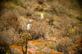 Enlarge photo 678